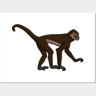 Spider Monkey Posters and Art